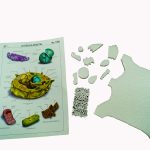 Maqueta de unicel Célula vegetal