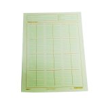 Block esquema de mayor con 50 hojas 808