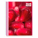 Cuaderno profesional 200 hojas Mega Scribe